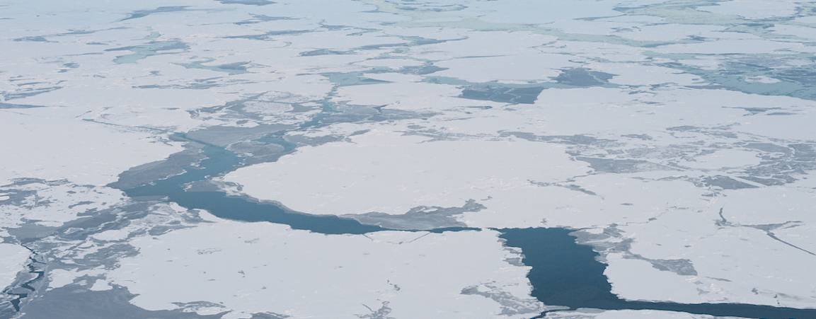 Arctic sea ice