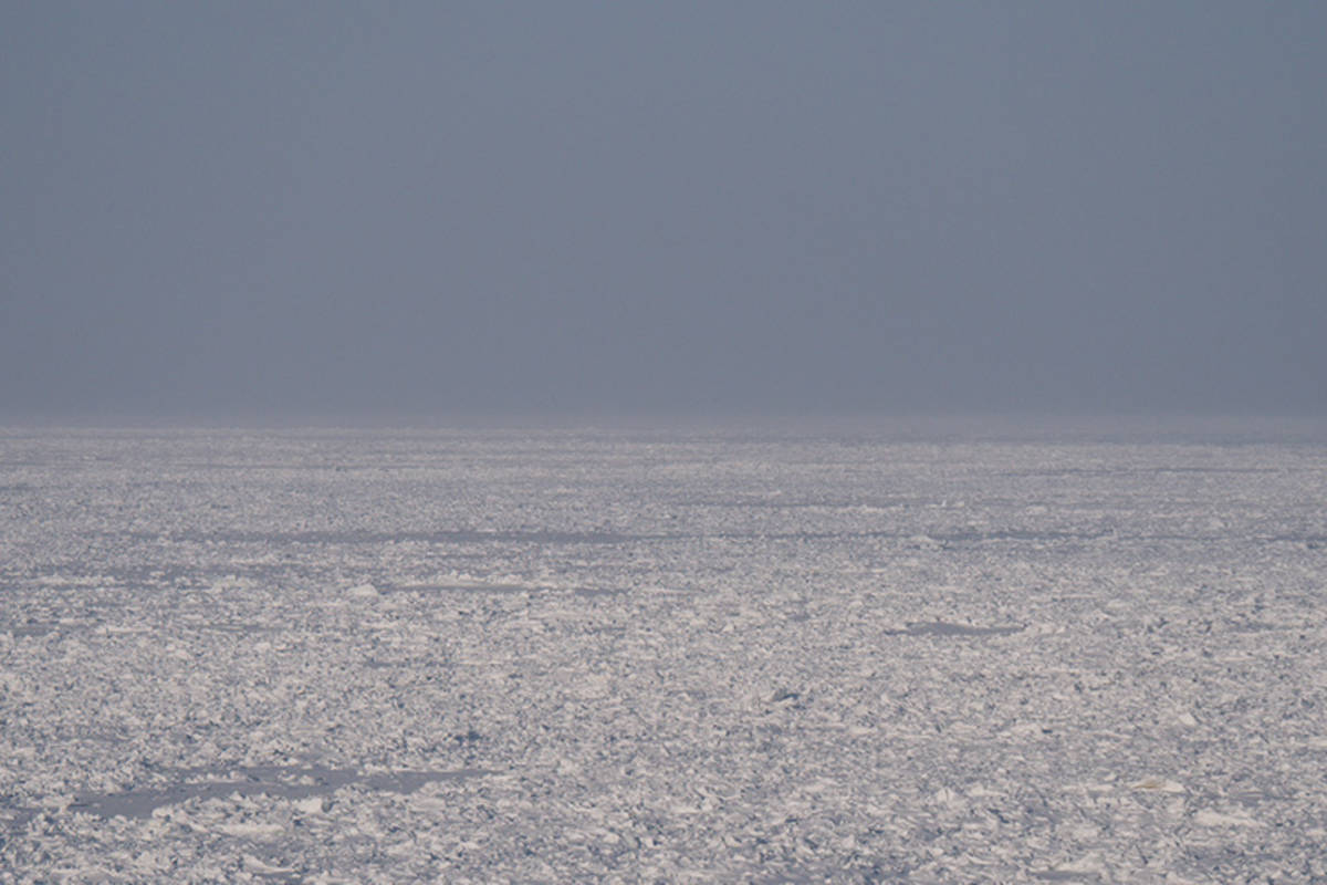 Frozen sea ice with a grey sky