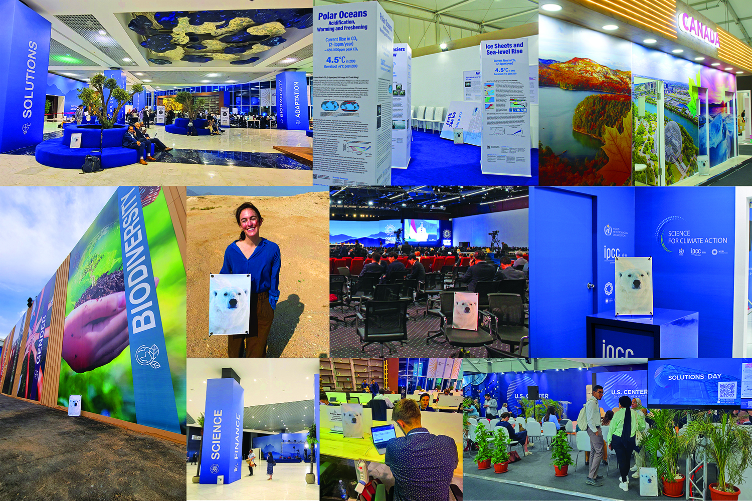 A collage from the COP26 U.N. climate conference.