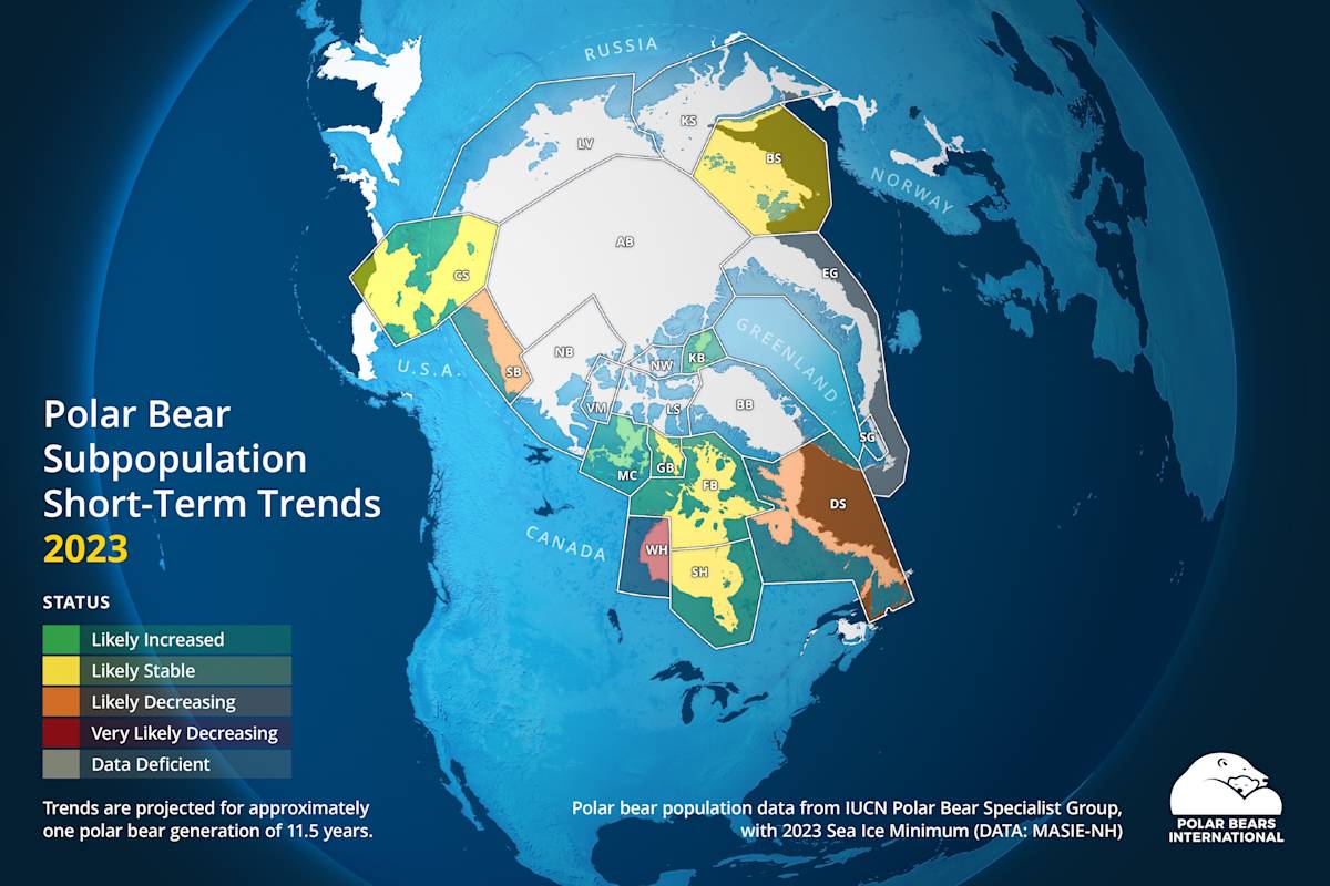 Map of polar bear subpopulation short-term trends as updated in 2023 by the IUCN Polar Bear Specialist Group.