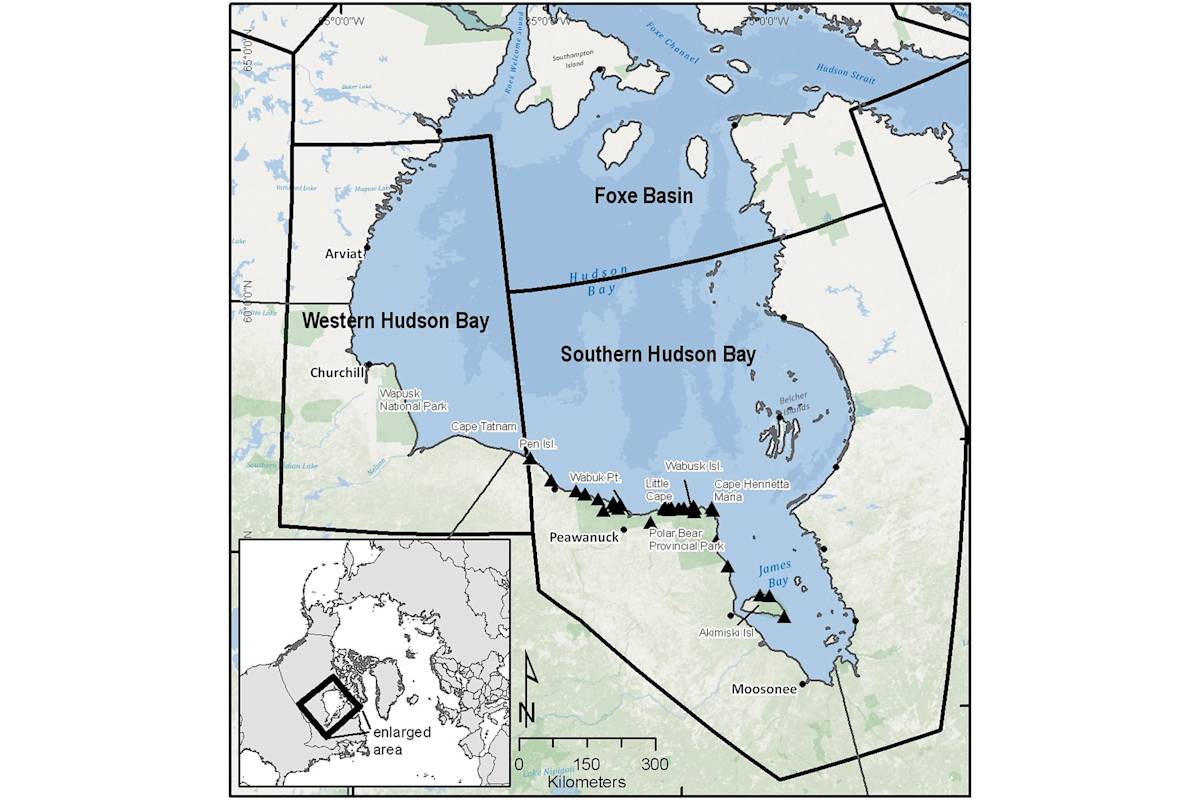 Map showing the location of the Southern Hudson Bay and Western Hudson Bay polar bear subpopulations