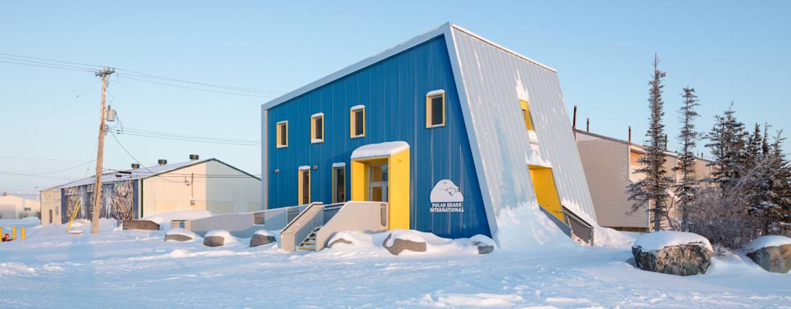 Polar Bears International House