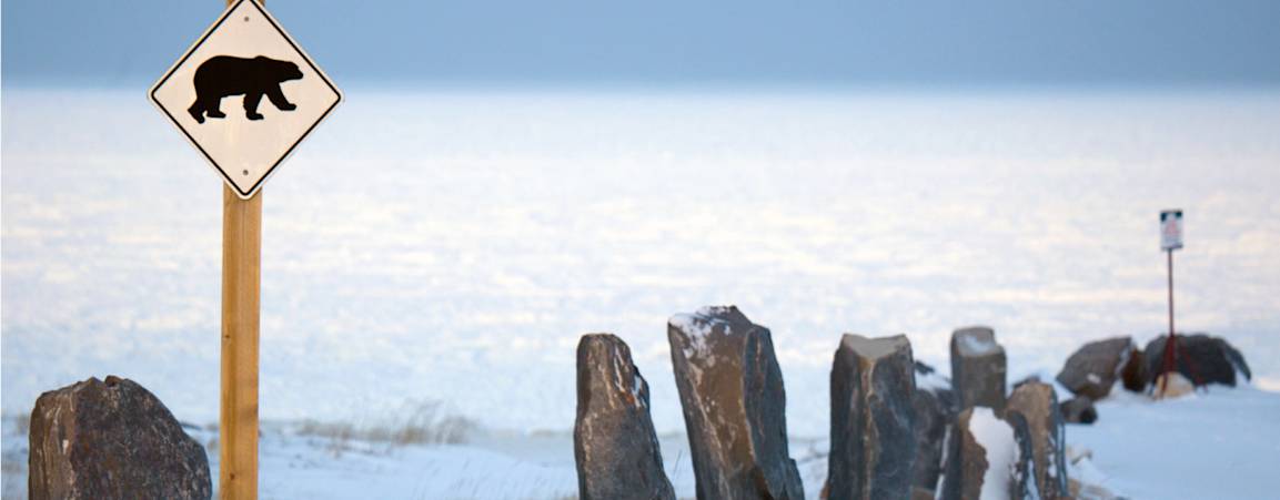Snowy background with bear crossing sign in the forefront 