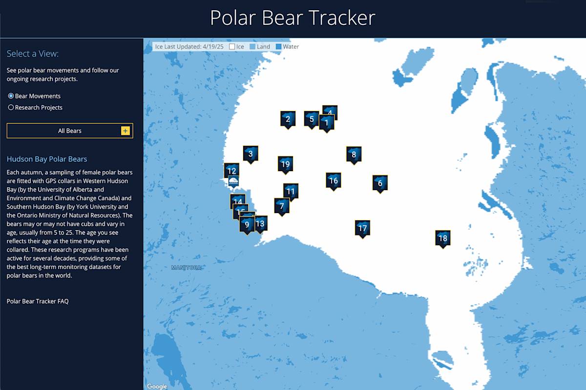 A map showing the locations of the bears on the PBI Bear Tracker