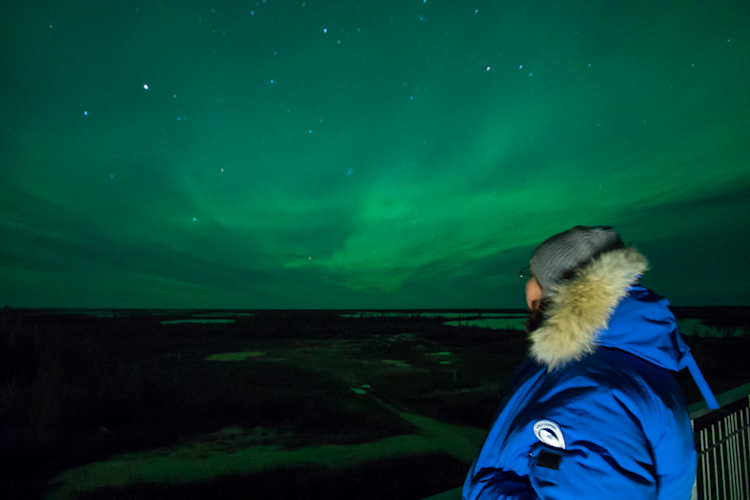 PBI's Marissa Krouse below the northern lights in Churchill