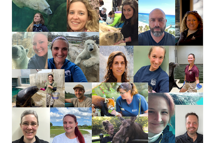 The 2022 Climate Alliance Cohort