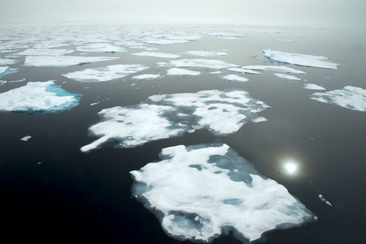 Overview of Arctic waters with melting sea ice.