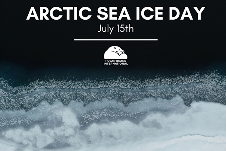 Sea ice floe edge with text "Arctic Sea Ice Day, July 15th"
