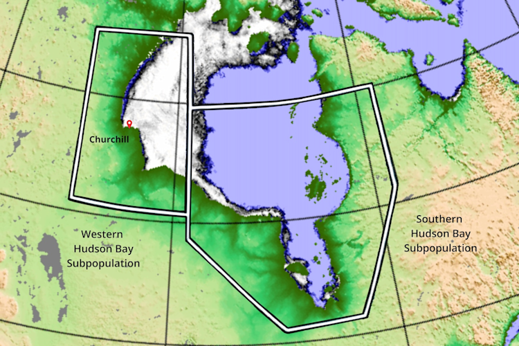 A map of Hudson Bay showing the sea ice coverage on December 18, 2024