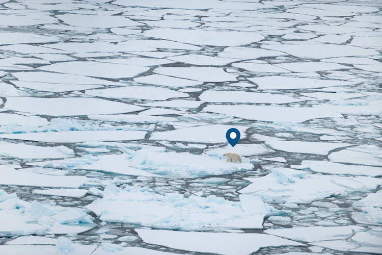 Geographical pin on ice