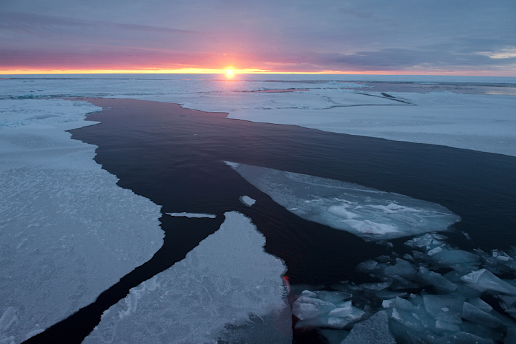 Sea ice