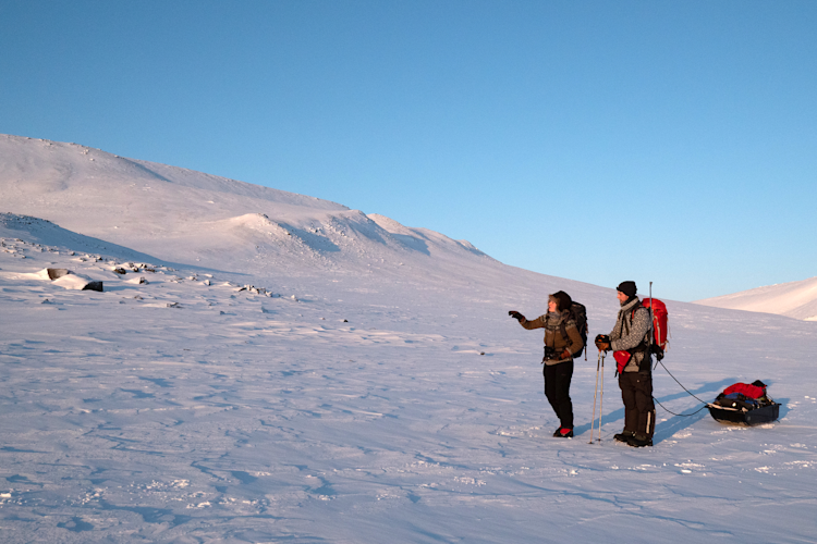 Maternal den polar bear research