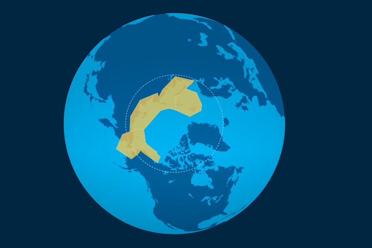 Divergent ice ecoregion map