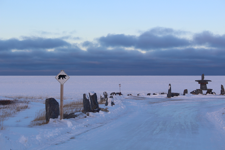 Snowy background with bear crossing sign in the forefront