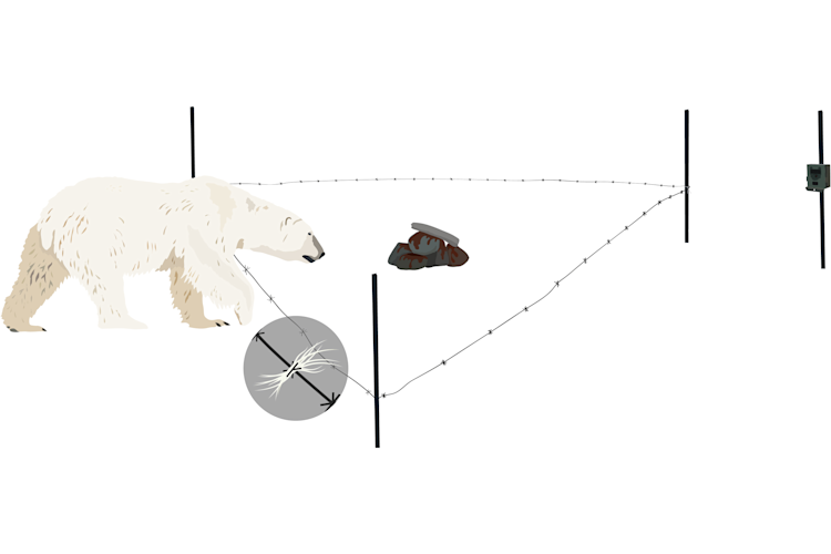 Diagram of the hair snare and camera trap sampling station