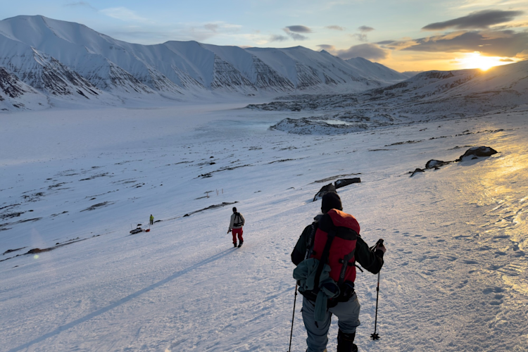 Researchers walking down a snowy slope in Svalbard