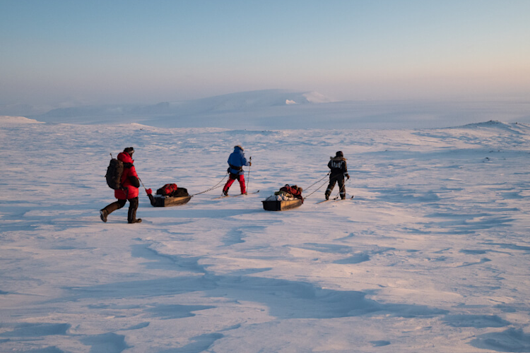 Researchers pull sleds with camera gear and other equipment to a polar bear den site