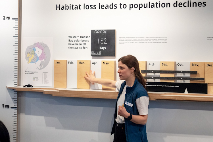 Joanna Sulich in the Polar Bears International House