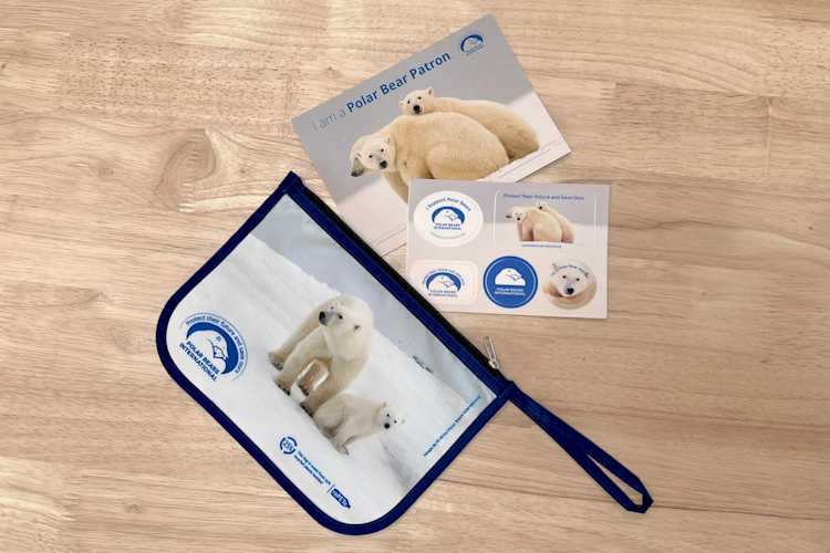 Welcome kit including polar bear stickers
