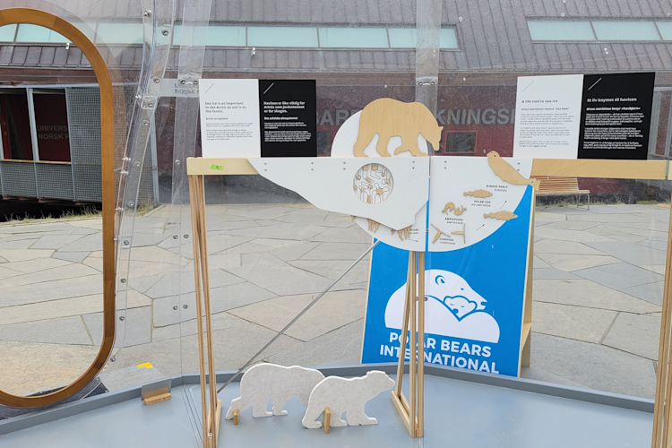 Polar Bears International Ice House in Longyearbyen, Svalbard