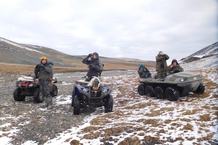 Russian polar bear researchers on Wrangel Island