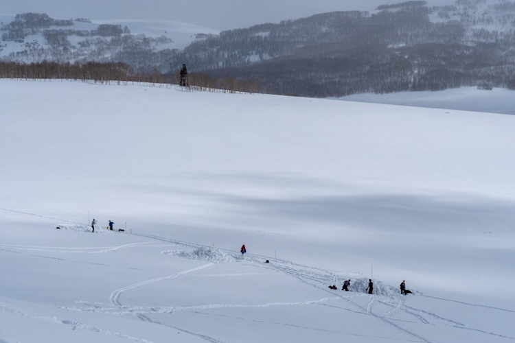 Researchers construct artificial polar bear dens for testing