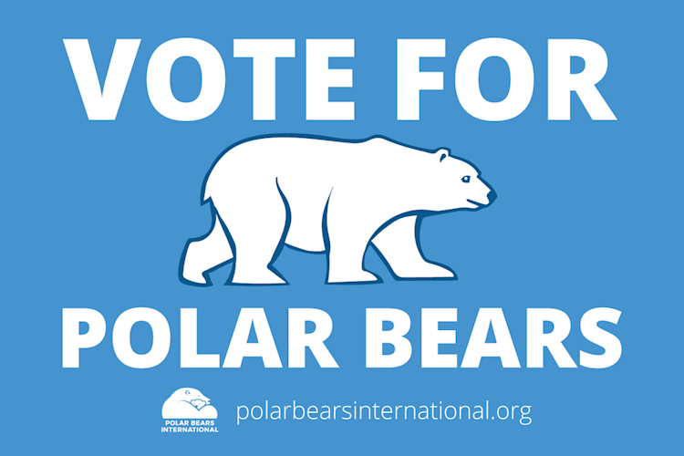 Vote For Polar Bears sign
